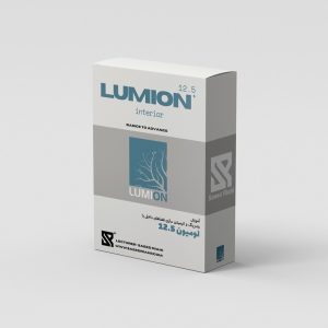 lumion 12.5